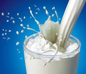 Food Combining Susu Haram?