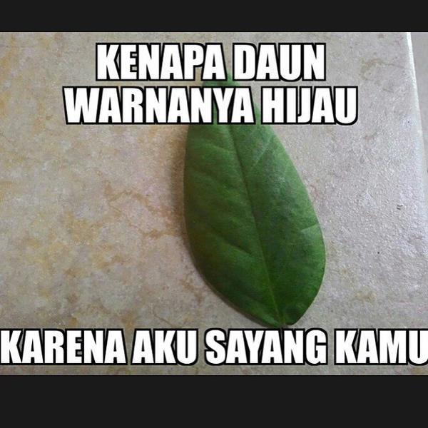 Kumpulan Meme #AkuSayangKamu (NewTranding)