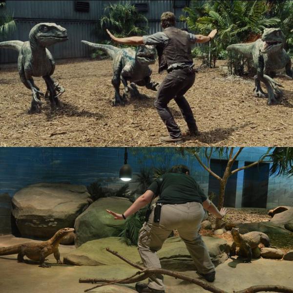 Beginilah Jadinya Kalo Raptor di Jurassic World Diganti Binatang Lain