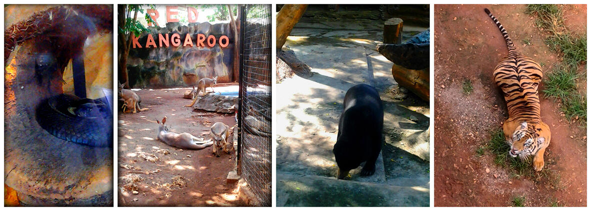 Melirik Goa Maharani n Zoo *Lamongan*