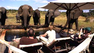Wisata Mengagumkan di Zimbabwe