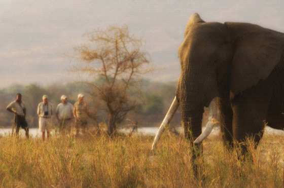 Wisata Mengagumkan di Zimbabwe