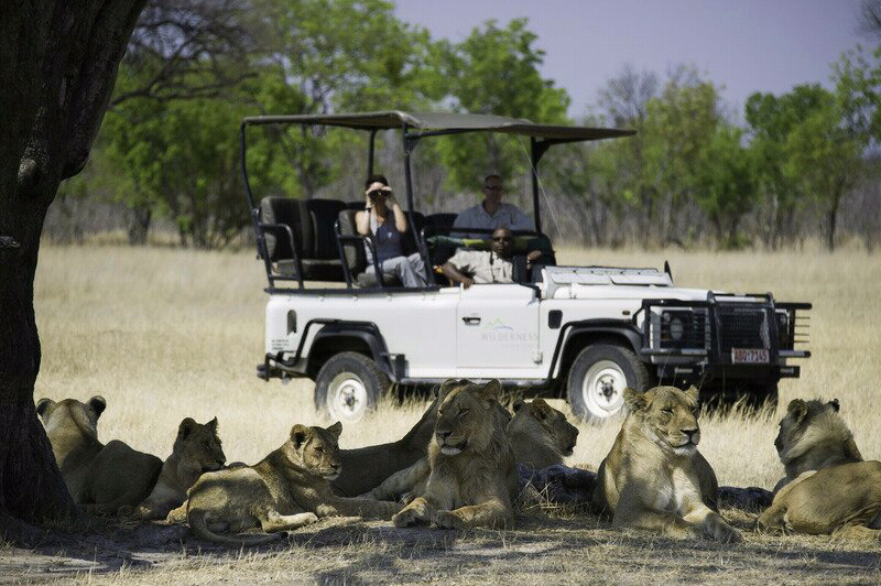 Wisata Mengagumkan di Zimbabwe
