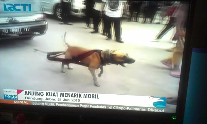 Apa yang RCT* pikirin sampai nayangin berita model gini