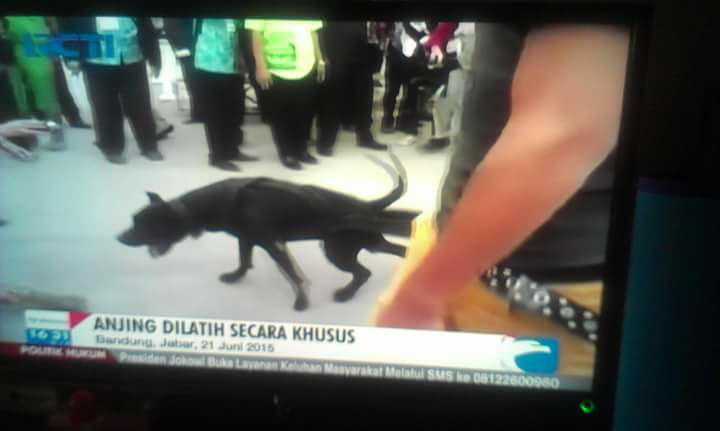 Apa yang RCT* pikirin sampai nayangin berita model gini