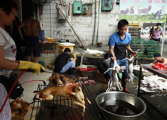 &#91;BIADAB&#93; Festival Yulin, siapa yg bisa menghentikan?