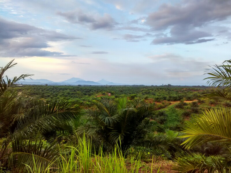 inilah pemandangan tempat tinggal gua coyy