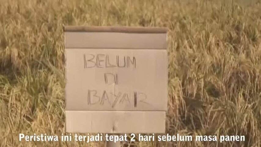 Agan Dengarkan Suara Rakyat Yang Memilukan !