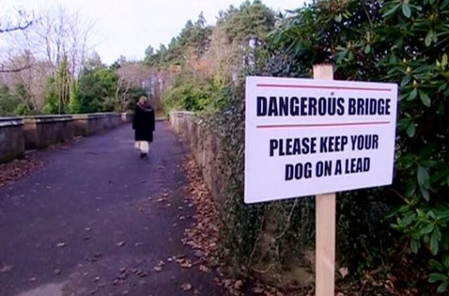 Anjing Favorit Bunuh Diri Di Jembatan Ini Gan