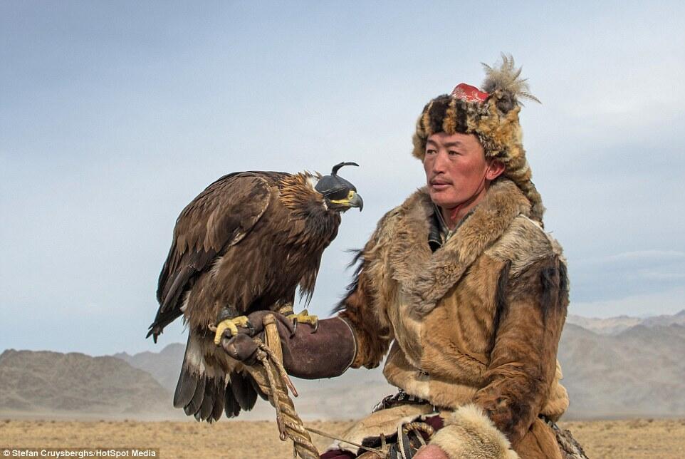 Golden Eagle