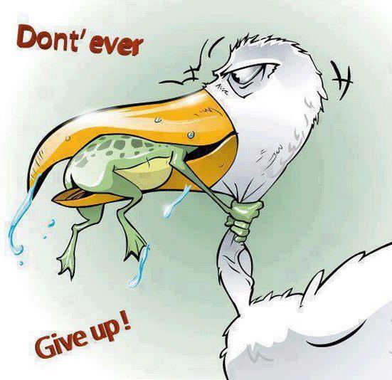 DON`T STOP ME NOW!