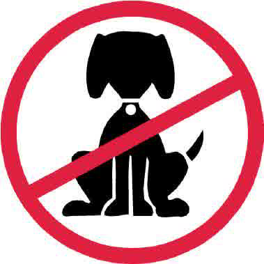 kenapa nabi MUHAMMAD SAW melarang menyentuh anjing