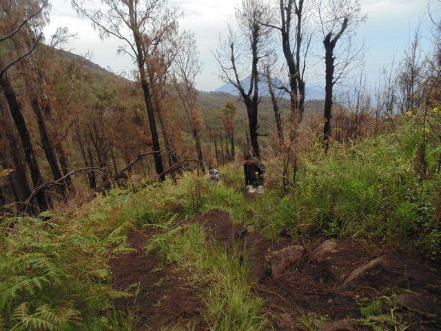 &#91;CatPer&#93; Menaklukan puncak Ogal Agil Mt. Arjuno 3339 Mdpl