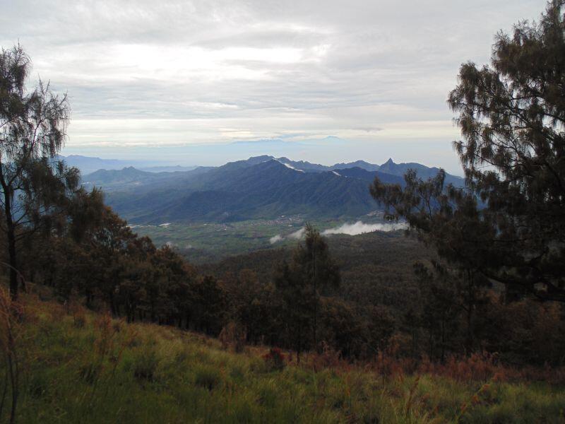 &#91;CatPer&#93; Menaklukan puncak Ogal Agil Mt. Arjuno 3339 Mdpl