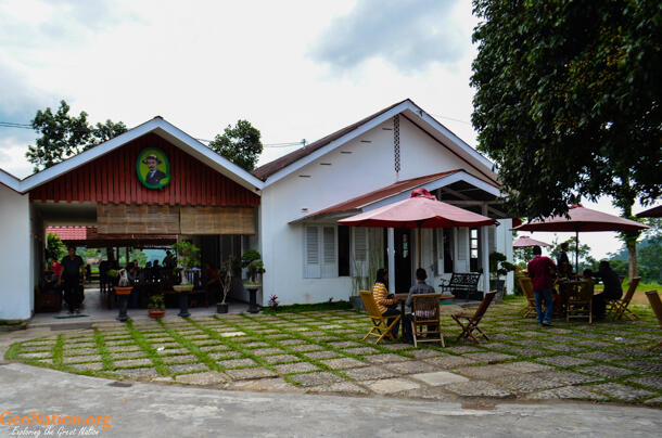 Rumah Teh Ndoro Donker, Sensasi Minum Teh Langsung dari Alam