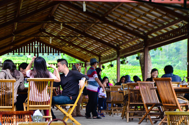 Rumah Teh Ndoro Donker, Sensasi Minum Teh Langsung dari Alam