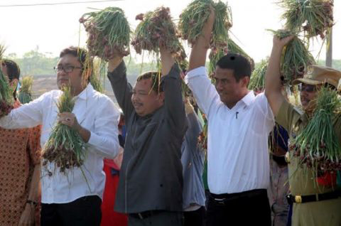 Mentan : Tak Akan Ada Impor Bawang Merah Lagi !!