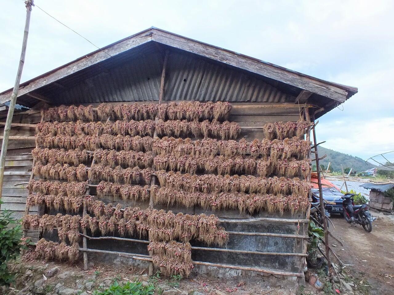 Keindahaan dari Lembah Gumanti Solok