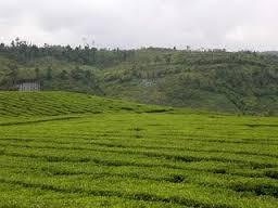 Keindahaan dari Lembah Gumanti Solok