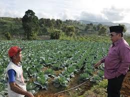 Keindahaan dari Lembah Gumanti Solok