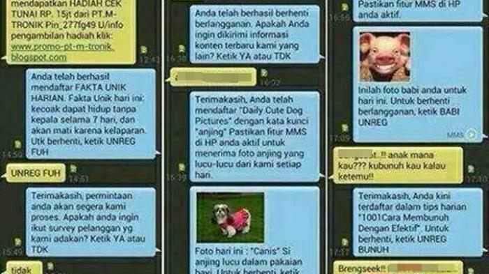 SMS Penipu Ini Malah Bikin Calon Korban Tertawa