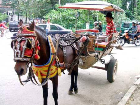 Serba-Serbi Kata Kereta 