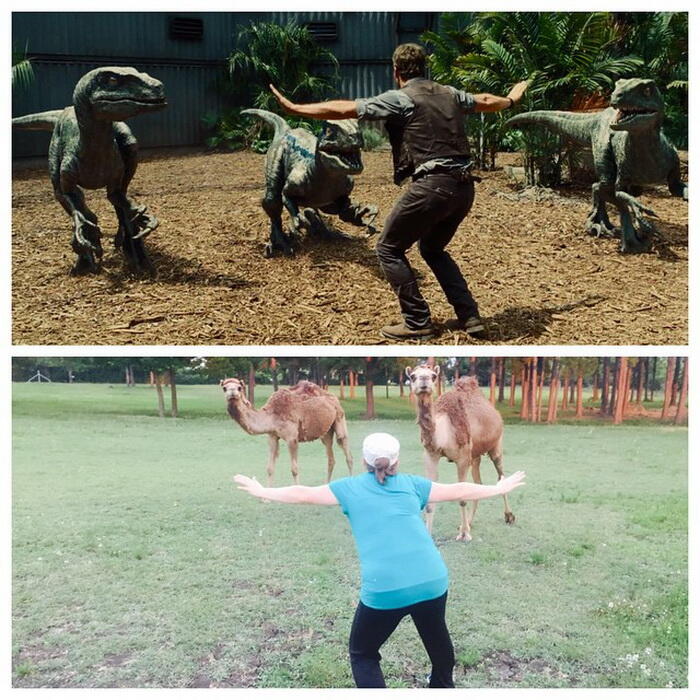 Aksi Chris Pratt di Jurassic World Ditiru Para Penjaga Kebun Binatang!