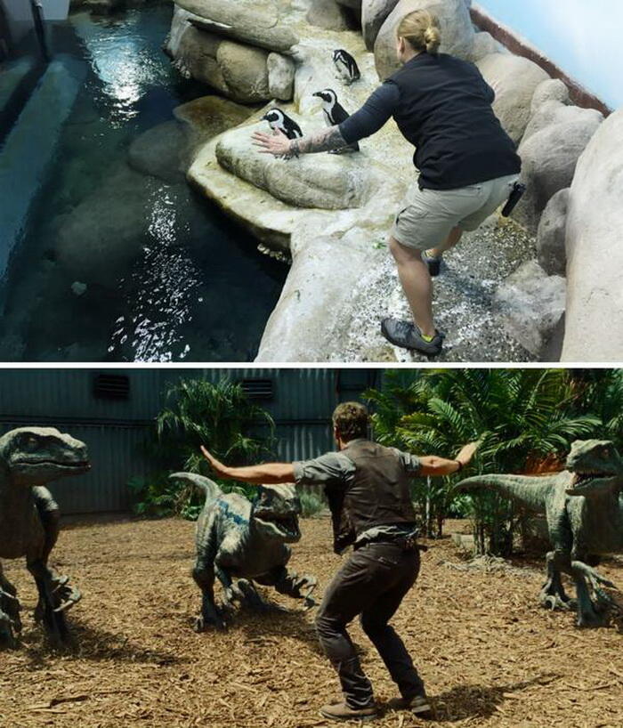 Aksi Chris Pratt di Jurassic World Ditiru Para Penjaga Kebun Binatang!