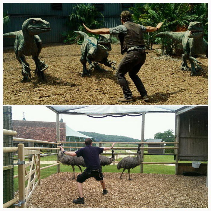 Aksi Chris Pratt di Jurassic World Ditiru Para Penjaga Kebun Binatang!