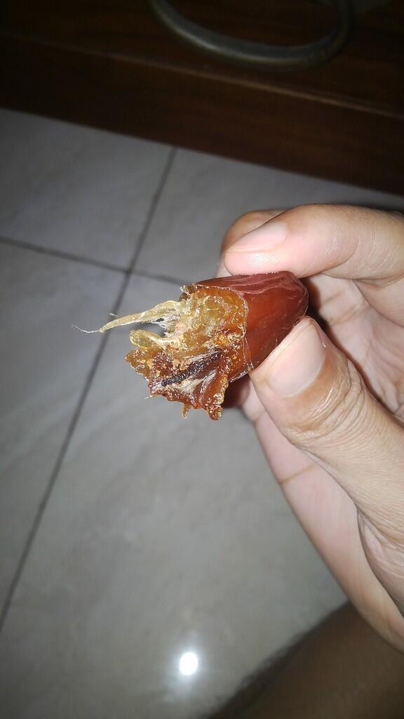 Teliti kalo makan kurma, harga tidak menjamin