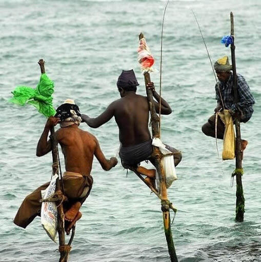 Berani Mencoba?! Cara Memancing Ikan Ala Orang Sri Langka &#91;PICT&#93;