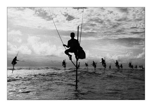Berani Mencoba?! Cara Memancing Ikan Ala Orang Sri Langka &#91;PICT&#93;