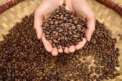 8 Jenis Kopi Indonesia yang Terkenal Hingga Mancanegara