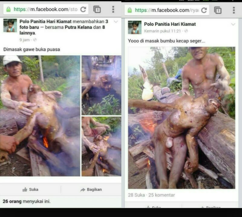 Kejam banget gan orang ini!!! Bakar orang utan untuk dijadikan menu berbuka puasa