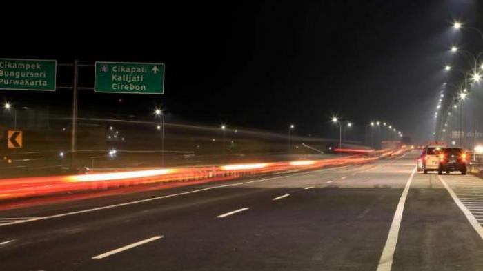 Waspada, Babi dan Musang Liar Melintas di Tol Cipali- Palimanan