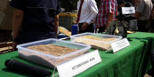 Waspada, Ada Ketumbar Berbahan Kimia Pembersih Toilet Soda Api..
