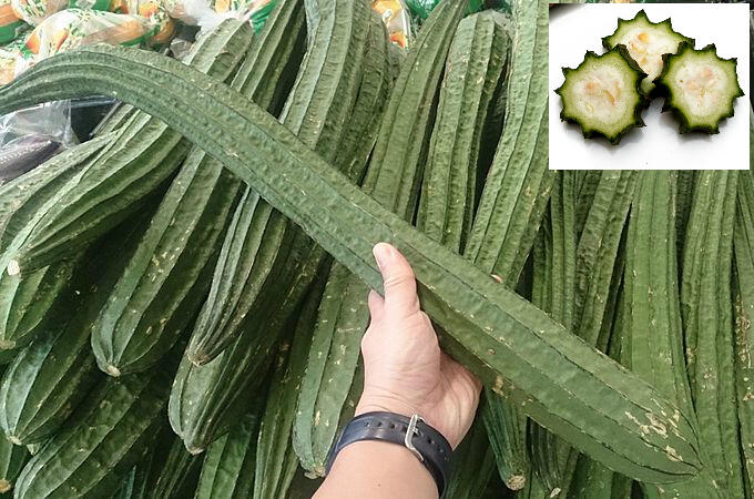 Tau Sayur Oyong Gak Gansis? Ni Manfaatnya Bagi Kesehatan Tubuh Kita