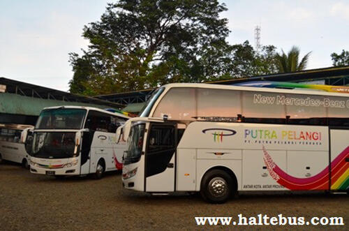 MAU MUDIK? INI DIA ARMADA BUS ACEH TERANYAR RP. 4,5 M!!!