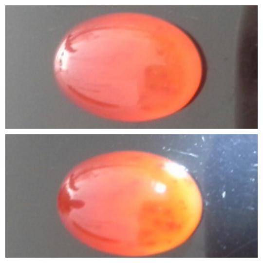 LELANG KHUSUS LEBARAN BLACK OPAL SAFIR PHANTOM WARNA WARNI BULU MACAN
