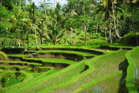 Cakrawala Dalam Bumi Nusantara