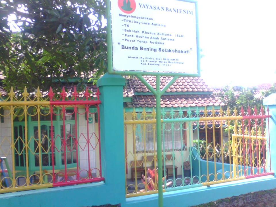 Penyandang Autis itulah julukanku