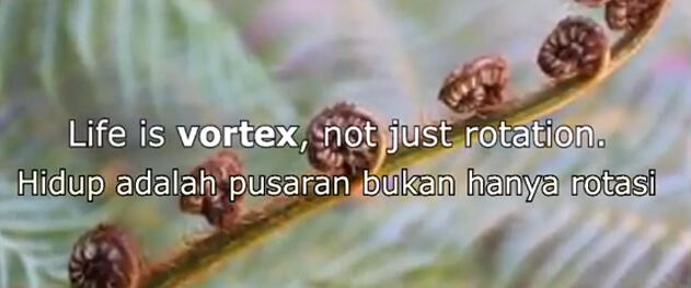 Apakah benar Tata Surya kita bukan hanya berotasi ?