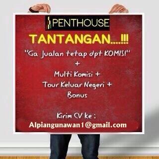Lowongan Pekerjaan Marketing