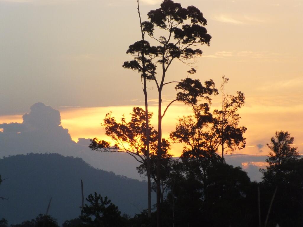 PEMANDANGAN BUMI KALIMANTAN TENGAH (EDISI LIBURAN)
