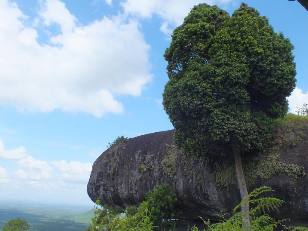 PEMANDANGAN BUMI KALIMANTAN TENGAH (EDISI LIBURAN) | KASKUS