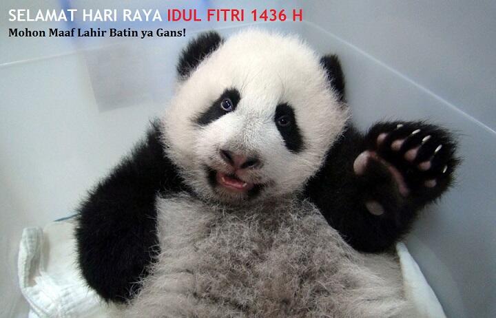 Fakta Menggelikan Panda Yang Bisa Bikin Agan Tersenyum &#91;BATA TS Kalo Gak Senyum&#93;