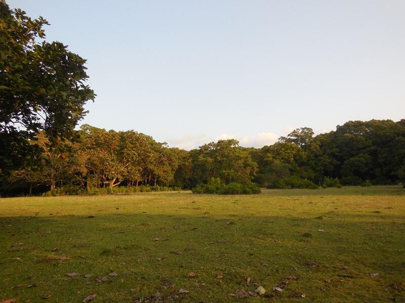 &#91;FR&#93; Ujung Kulon Surga di Barat Pulau Jawa 