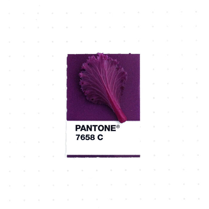 Desainer Grafis ini Mencocokkan Warna Pantone dengan Objek Kecil Di sekitarnya