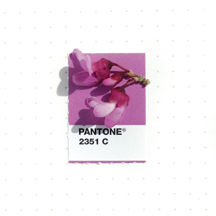 Desainer Grafis ini Mencocokkan Warna Pantone dengan Objek Kecil Di sekitarnya