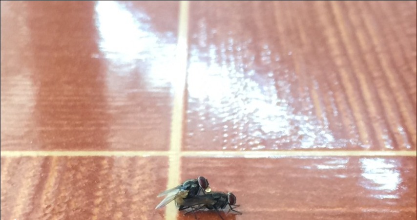LAGI GAN KIMPOI DI TEMPAT UMUM AMPE BASAH...